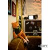 Fox Box Tattoo