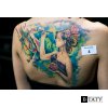 _8kkxiqH-wU